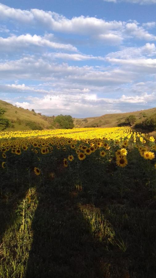 Ma Caravane Dans Les Collines Villeneuve-la-Comptal Exteriör bild