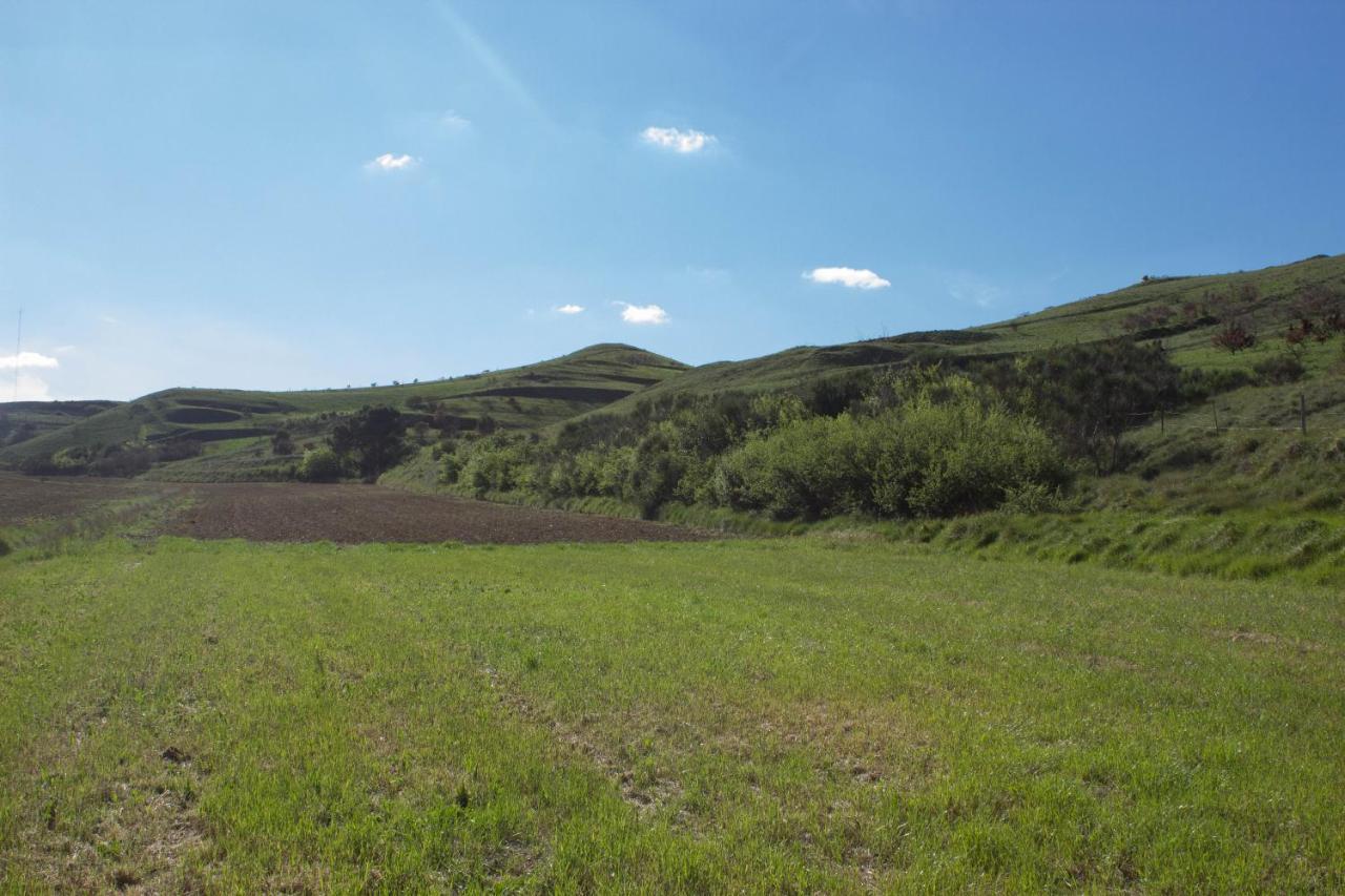 Ma Caravane Dans Les Collines Villeneuve-la-Comptal Exteriör bild